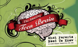 teen brain cover