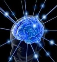 The Science Of Trauma And Its Effects >> The Science Behind Trauma Multiplying Connections The Science Of Trauma And Its Effects >> The Science Behind Trauma Multiplying Connections